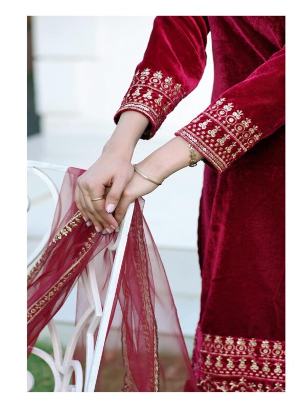 Buy Elegant Velvet Designer Suit with Butterfly Net Dupatta, Winter Perfect Glamwear! - Image 4