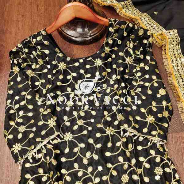 New Designer Chinon Lehenga Suit with Front & Back Sequence Embroidery Work - Image 6