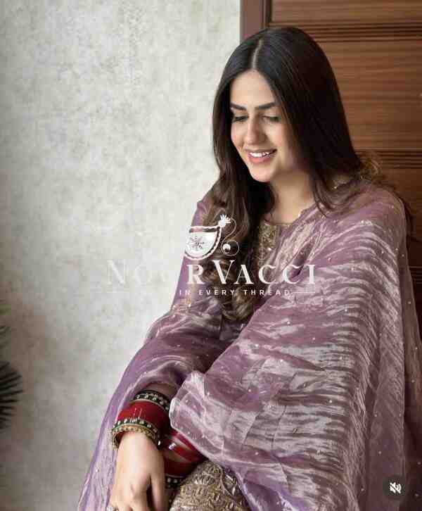 Twin-Tissue Net Embroidered Pant Set with Dupatta Fully Stitched - Image 3