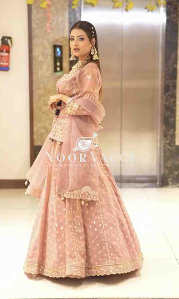 Star Georgette Embroidered Lehenga Set with Dupatta – Handwork Detailing - Image 4