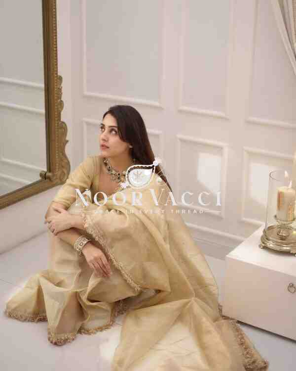 Goldy Crazy Ready-to-Wear Saree with Matching Blouse - Image 5