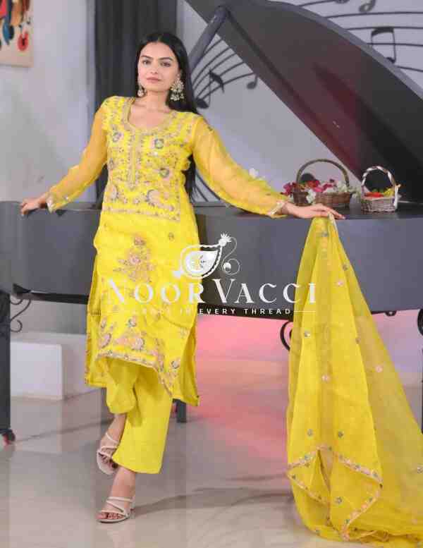 Elegant Organza Embroidered Suit Set with Dual-Side Work & Sequins - Image 7