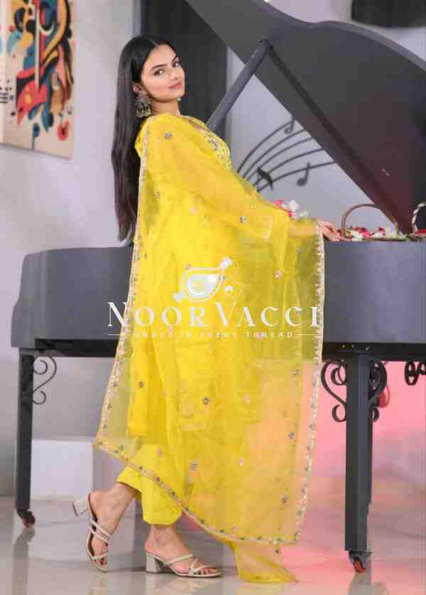 Elegant Organza Embroidered Suit Set with Dual-Side Work & Sequins - Image 2