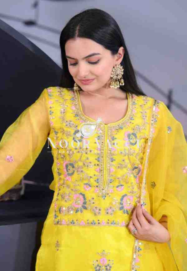 Elegant Organza Embroidered Suit Set with Dual-Side Work & Sequins - Image 3