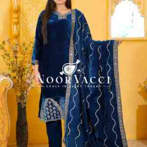 Regal Velvet Embroidered Suit