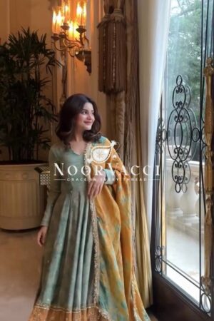 Shop Organza Silk Embroidered Gown with Dupatta – Party Wear Glam