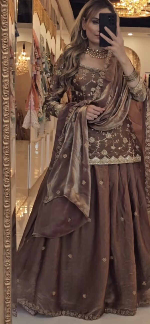 Designer Fandy Silk Lehenga & Embroidered Top with Fancy Dupatta Set - Image 3