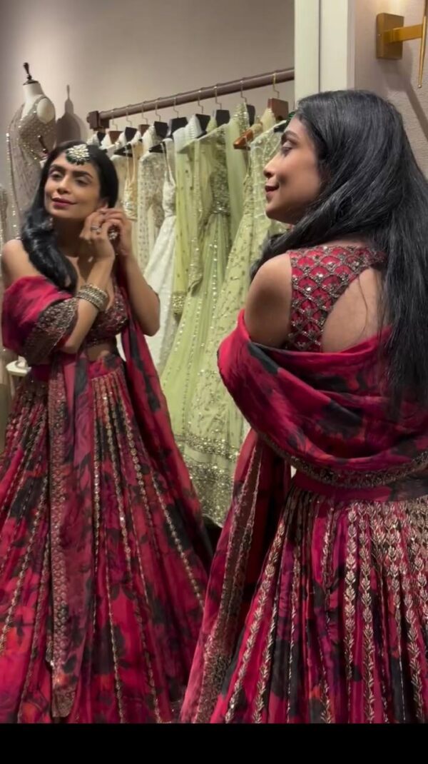 Shop Tabby Organza Embroidered Lehenga Set with Lace Dupatta - Image 2