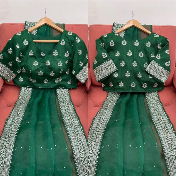 Buy Heavy Organza Silk Saree with Embroidery and Diamond Highlights - Image 3